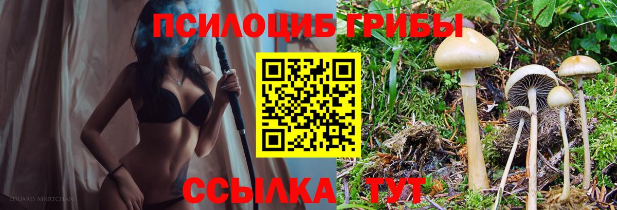 Псилоцибиновые грибы Magic Shrooms  Вход с VPN  Топки 
